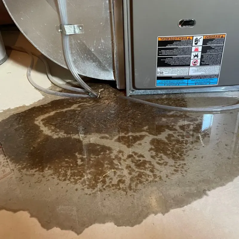 Pipe Burst and Leak Restoration in Mineral County, MT