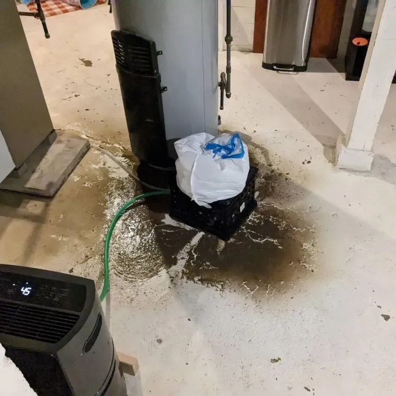 Sewage Backup Cleanup Service in Mineral County, MT